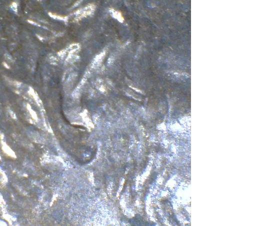 2006-LMC-Doubled-Lobe-?